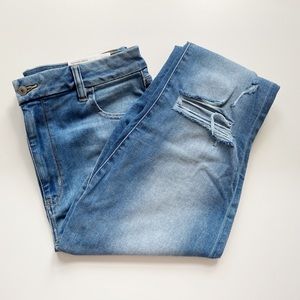 NWT American Eagle Curvy Hi-Rise Jegging